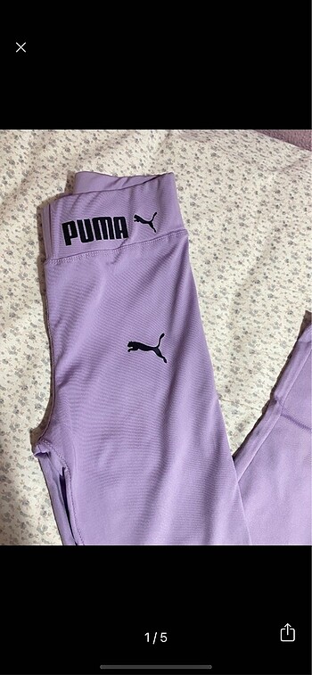 Tayt puma