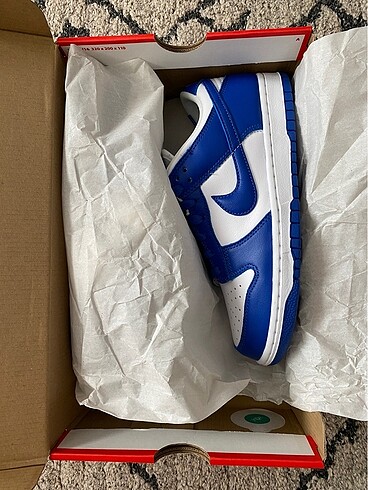 Dunk Low Sp Kentucky