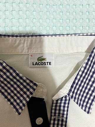 xl Beden lacoste yakalı tişört