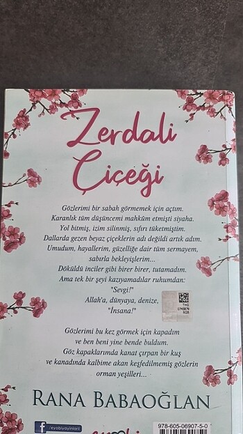  Rana Babaoğlan Zerdali çiçeği