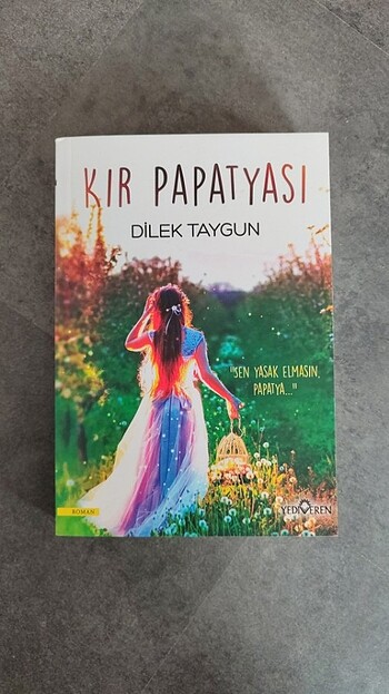 Dilek Taygun kır papatyası