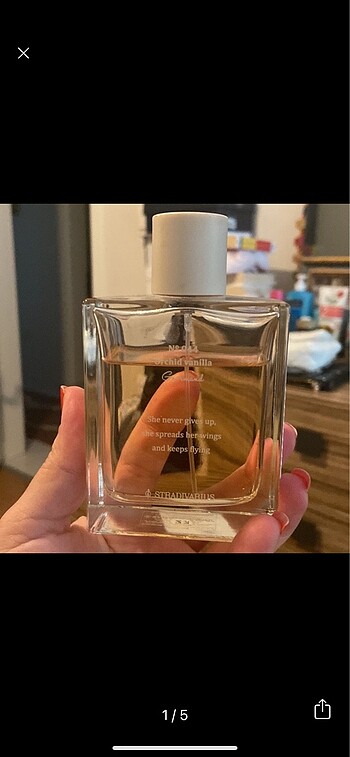 Stradivarius parfüm