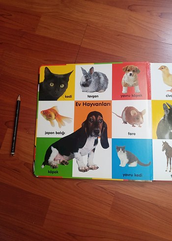 Beden Resimler ile 100 Hayvan Çocuk Kitabı , karton kitap