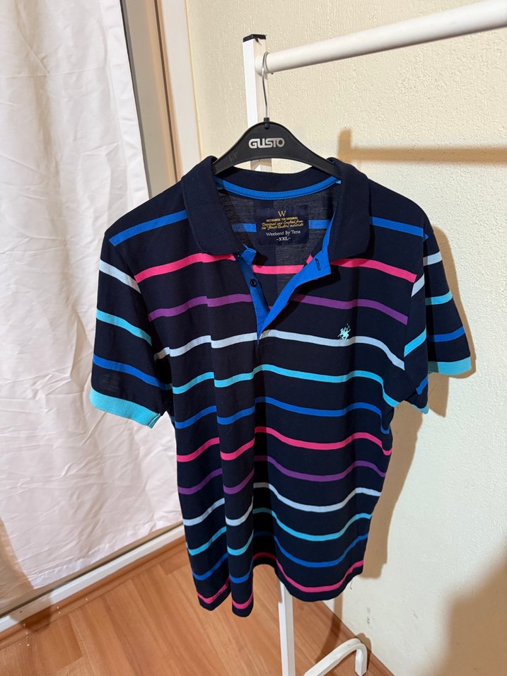 Çok Renkli Çizgili Polo Tişört - Görsel 4