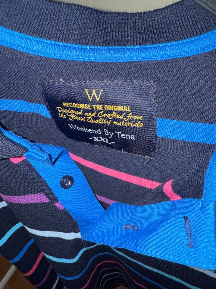 Çok Renkli Çizgili Polo Tişört - Görsel 5