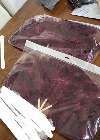 Diğer Bordo Tüylü Yelpaze