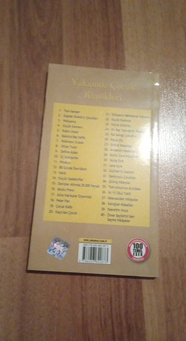 Define Adası - Robert L. Stevenson - Görsel 2