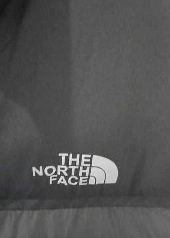 The North Face Siyah Kapitone unisex Yelek 700 Dolgu - Görsel 2