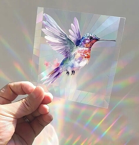 Sun Catcher Sticker