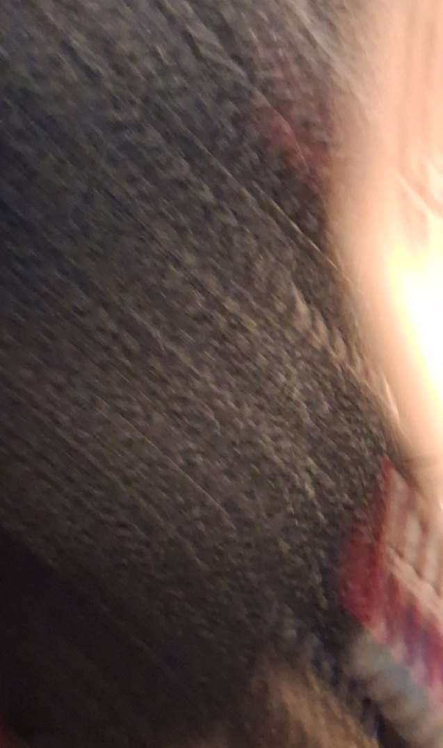 Siyah güpür yakası inci detaylı  Abiye Elbise - Görsel 5