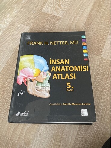 Netter anatomi atlası