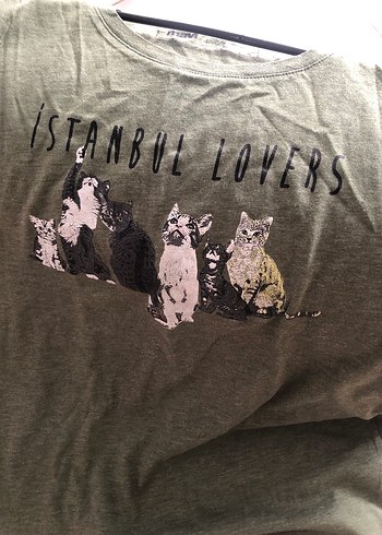 Mavi Tişört sorunsuz - Görsel 6