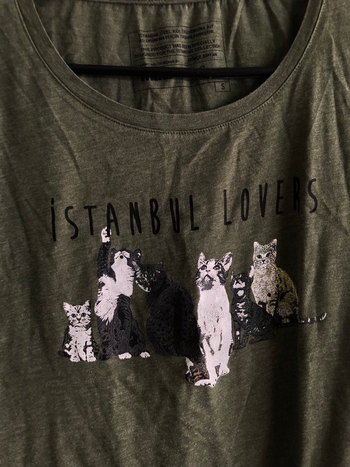 Mavi Tişört sorunsuz - Görsel 5