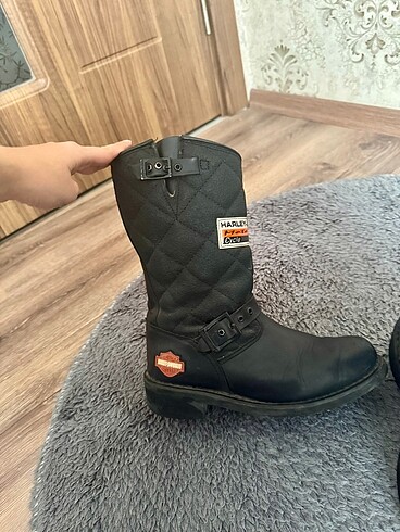 40 Beden harley davidson bot