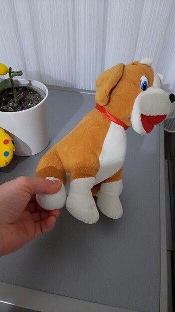  Beden Pelus köpek 