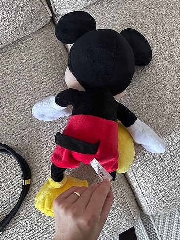 Walt Disney World Mickey mouse