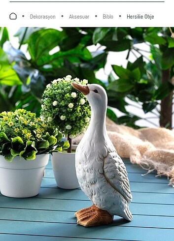 Madame Coco Biblo 