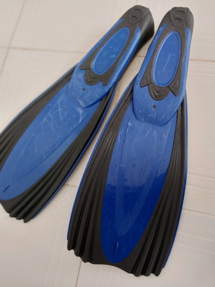 Mavi Yüzme Paleti - Görsel 3