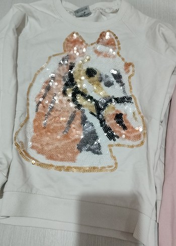 Breeze sweatshirt ve kapşonlü sweatshirt