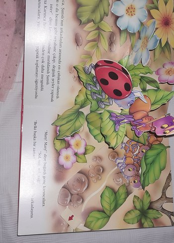 Beden Şanslı Uğur Böceği Çocuk Kitabı
