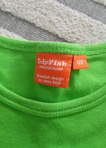 Yeşil Erkek Çocuk Sweatshirt, Baykuş Baskılı - Görsel 2