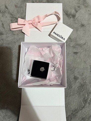 Pandora Pandora charm