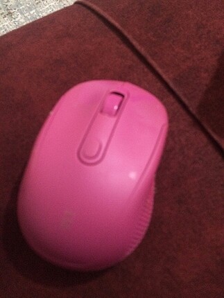 Mouse