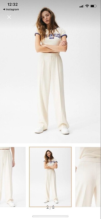 pull amd bear