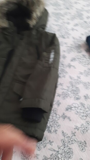 Çok güzel bir mot - Görsel 4