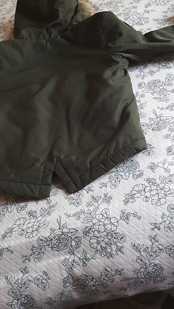 Çok güzel bir mot - Görsel 5