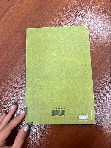 DURSUN YILDIRIM TÜRK BİTİĞİ - Görsel 4