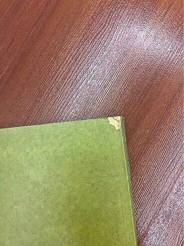 DURSUN YILDIRIM TÜRK BİTİĞİ - Görsel 3