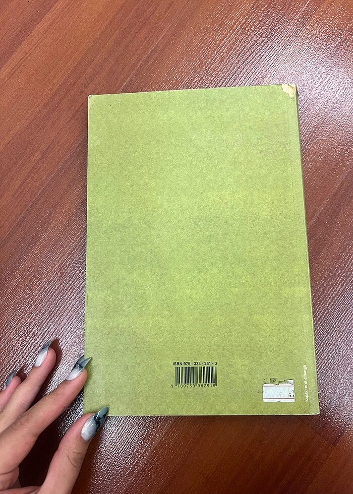 DURSUN YILDIRIM TÜRK BİTİĞİ - Görsel 4