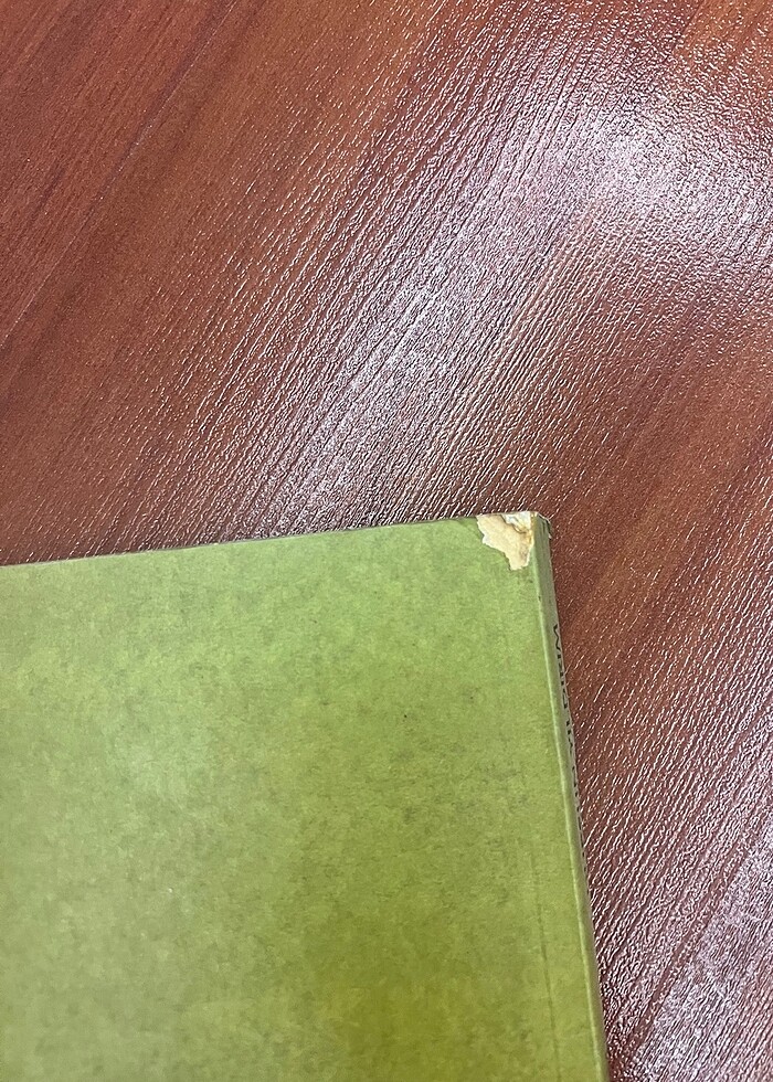 DURSUN YILDIRIM TÜRK BİTİĞİ - Görsel 3