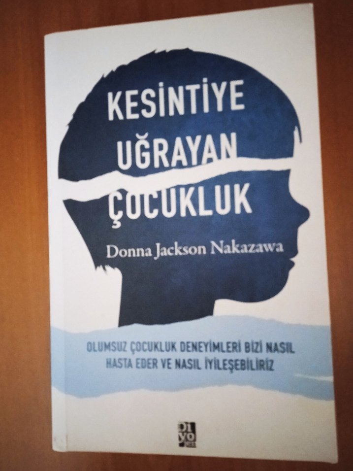 KESİNTİYE UĞRAYAN ÇOCUKLUK/KİŞİSEL GELİŞİM - Görsel 2