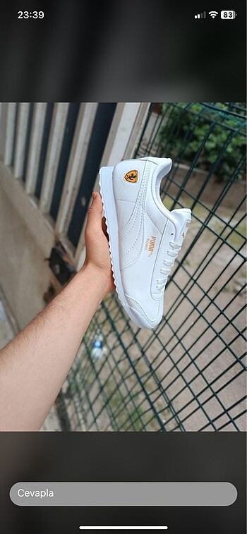Puma roma