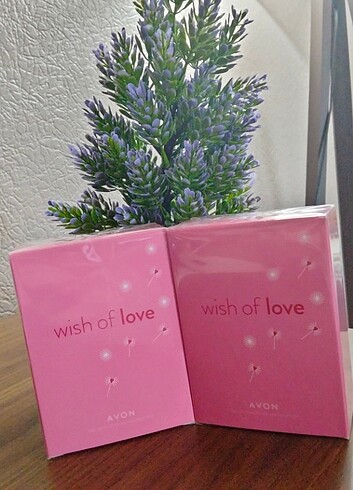 Wish of love