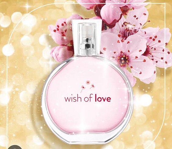 Wish Of Love