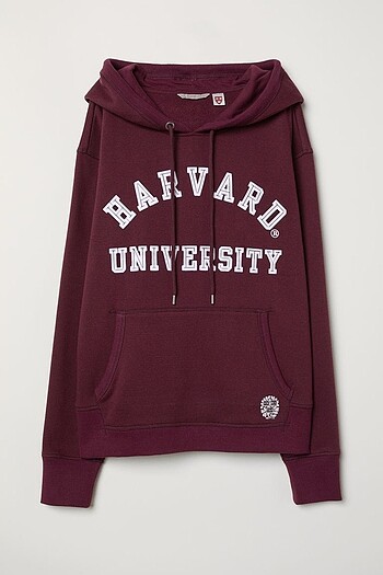 H&M Harvard University Kapsonlu Swetshirt