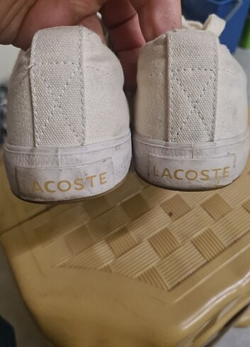 orjinal lacoste 