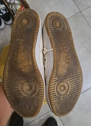 37 Beden orjinal lacoste 