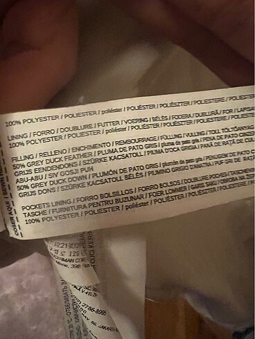 l Beden ten rengi Renk Mango kaztüyü kaban