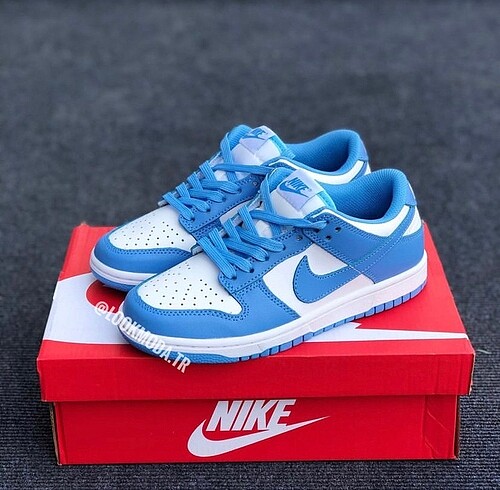 Nike Dunk unc