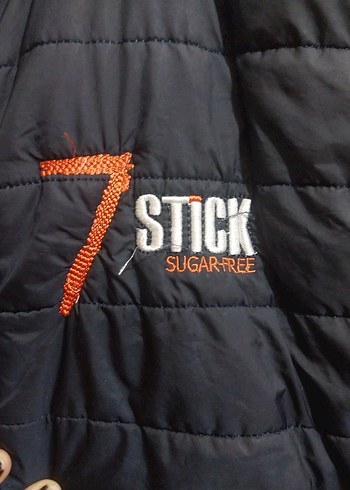 Erkek şisme yelek - Görsel 4