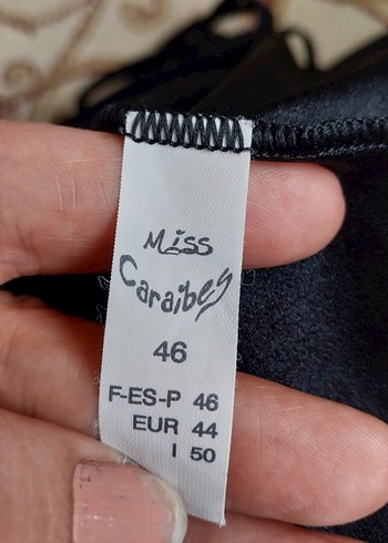 Deniz etegi - Görsel 7