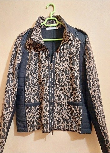 Mo ari leopar mont