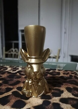  Beden Sukulentlik