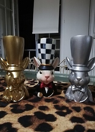 Accessorize Sukulentlik