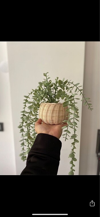 Rattan saksı