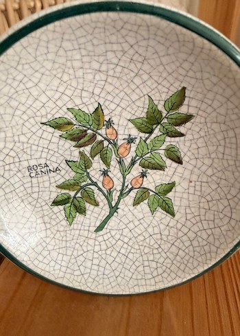 Minyatür duvar tabagi - Görsel 2